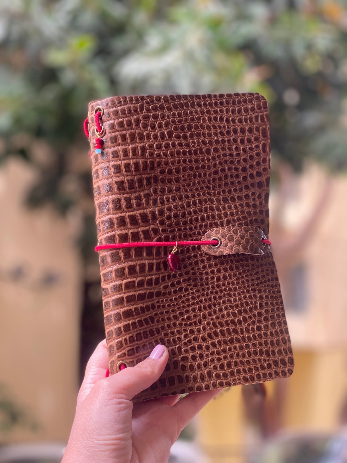 Cacao croco